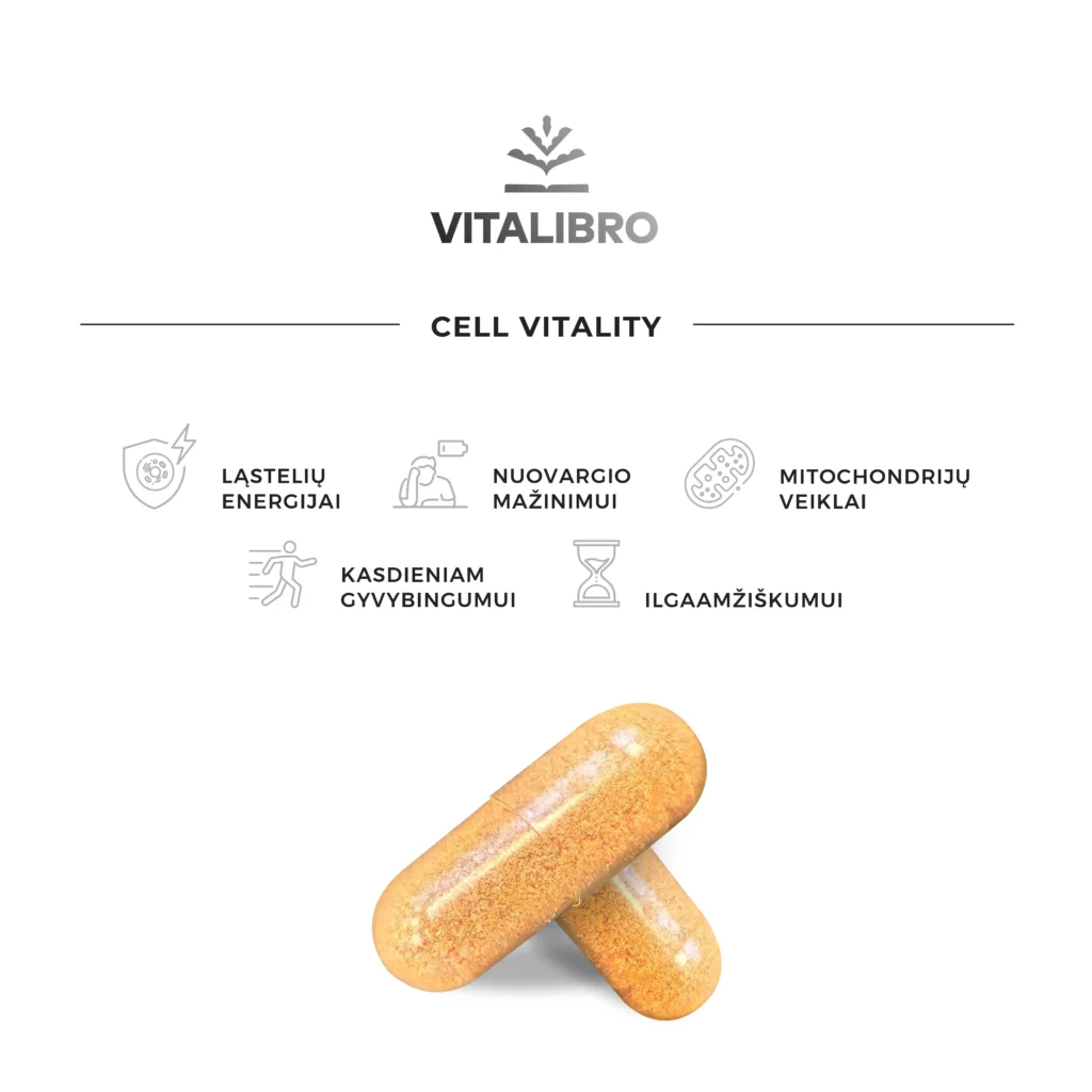 Cell Vitality_Maketai-02