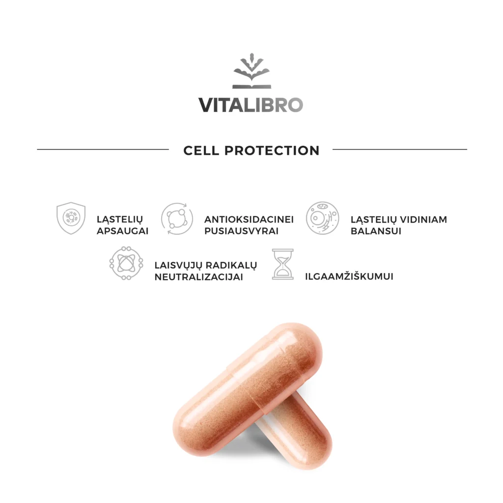 Maketai_Cell protection-02