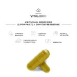 Liposominio berberino ir dihidroberberino kompleksas medžiagų apykaitai